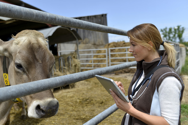 Veterinarian with digital tablet - Photo, image