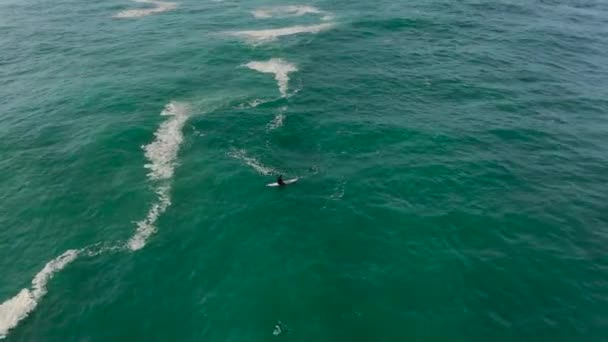 vela surfista deitado a bordo no oceano com ondas vista superior - Filmagem, Vídeo