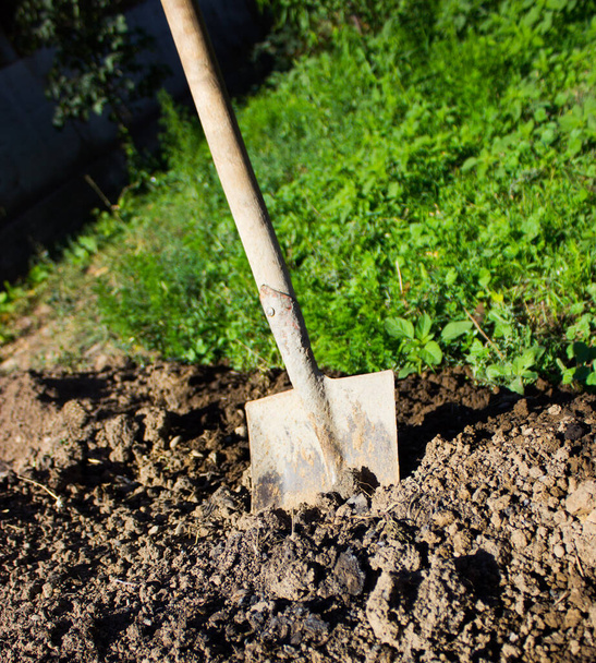 shovel half in the ground - Foto, Imagem