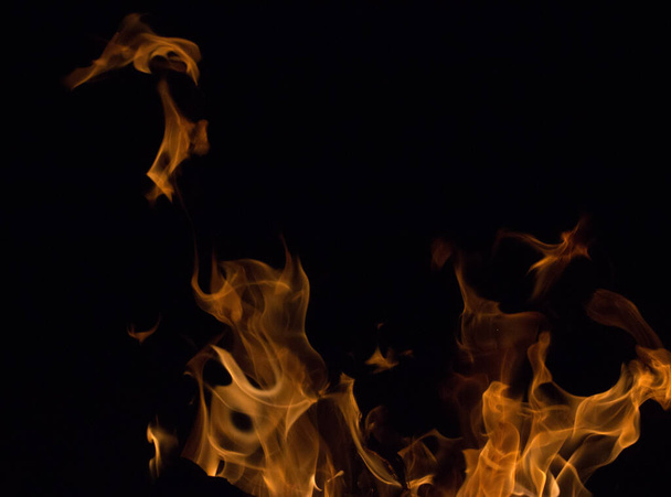 bright fire on a black background at night - Foto, Bild