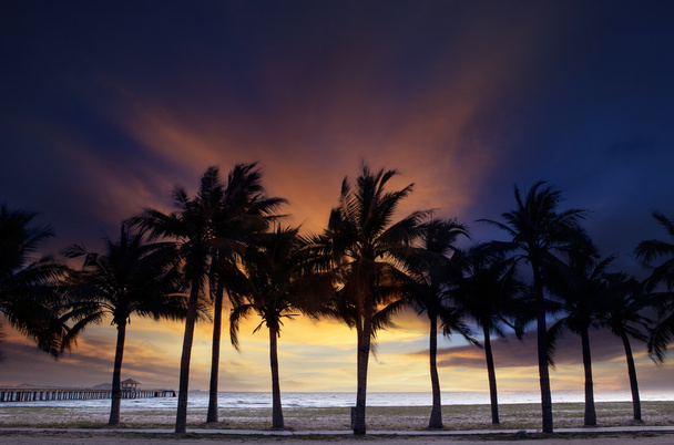 schönen Abendhimmel und Abenddämmerung mit Silhouette Kokosnussbaum auf - Foto, Bild