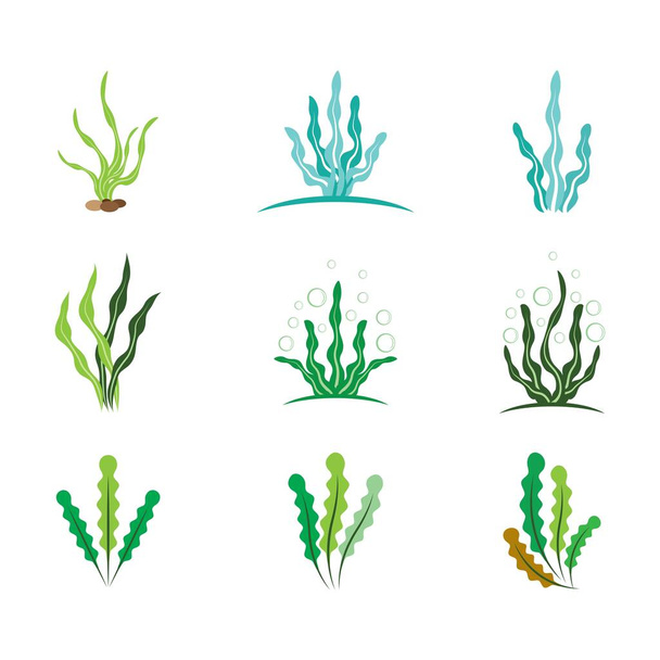 Algas marinas logotipo plantilla vector icono ilustración diseño - Vector, imagen