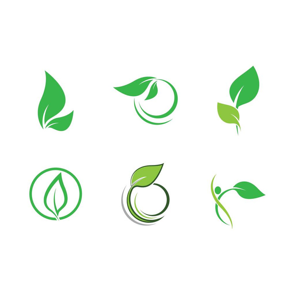 Ökológia logó sablon vektor ikon - Vektor, kép