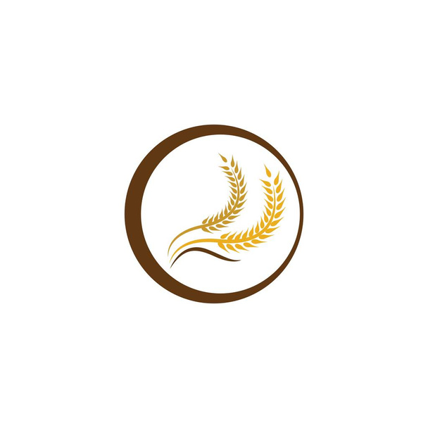 Logo de trigo plantilla vector icono ilustración - Vector, imagen