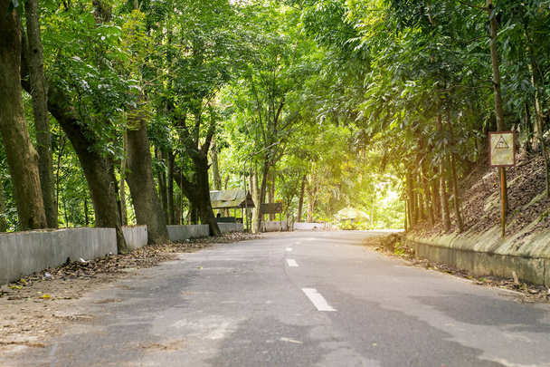 Μια ρουστίκ άδεια εθνική οδός που περιβάλλεται από καταπράσινα δέντρα στη μέση του δάσους. Στο Los Banos, Laguna, Φιλιππίνες. - Φωτογραφία, εικόνα