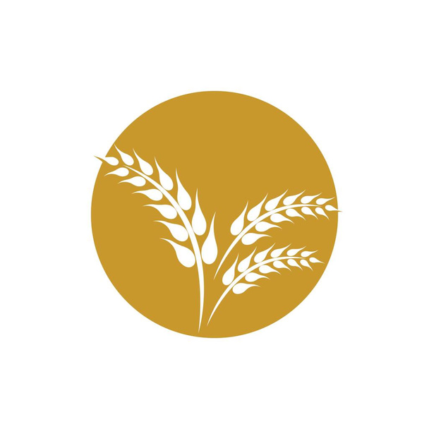 Design de ilustração de ícone de vetor de logotipo de trigo - Vetor, Imagem