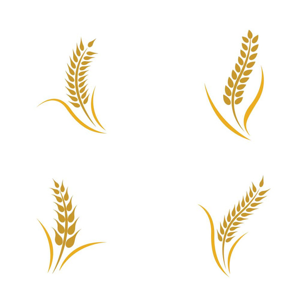 Logotipo de trigo vector icono ilustración diseño - Vector, Imagen