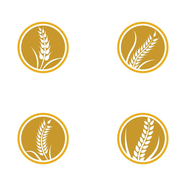 Дизайн векторной иконки пшеницы - Вектор,изображение