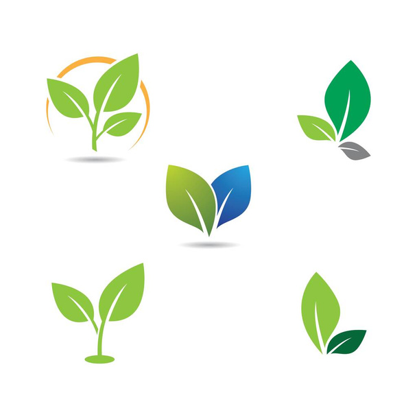 Leaf  logo vector icon illustration - Vektori, kuva
