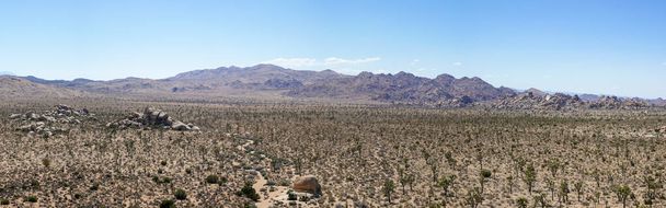 Panoramic view from top of granite mounds create an amazing landscape in Joshua Tree National Park 70 megapixels - Photo, Image