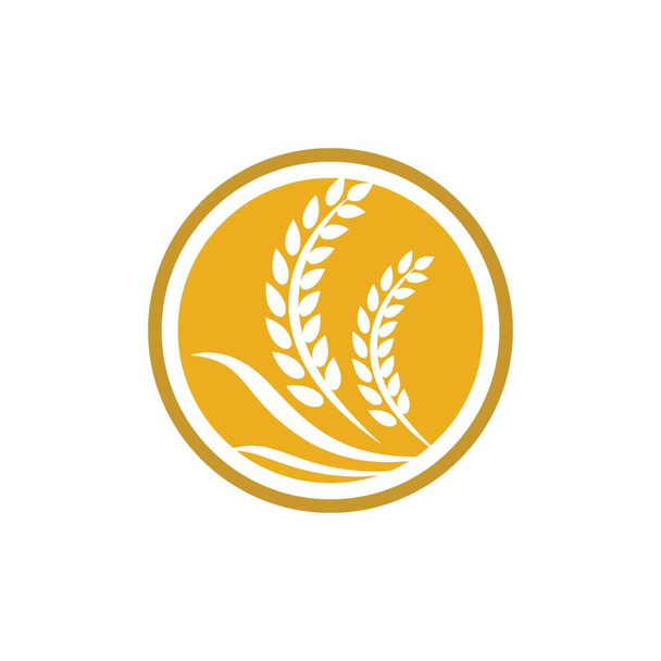 Дизайн векторного логотипа пшеницы - Вектор,изображение