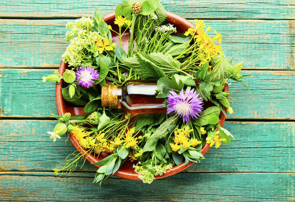 Bouteille d'herbes médicinales sauvages cicatrisant tincture.Herbal medicine.Top vue - Photo, image