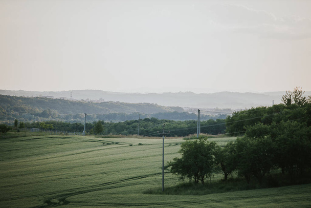 A green field in the countryside - Fotoğraf, Görsel