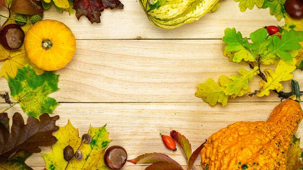 Listový podzim. Přírodní sklizeň s pomerančovou dýní, sušenými listy, červenými bobulemi a žaludy, kaštany na dřevěném pozadí ve tvaru rámu. Koncept dne díkůvzdání nebo Halloweenu - Fotografie, Obrázek