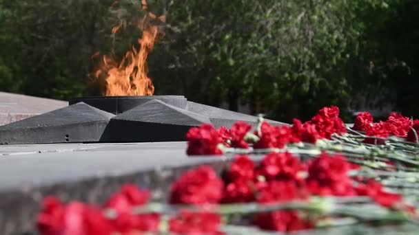 "Llama Eterna "en el memorial a los defensores caídos de la patria
 - Imágenes, Vídeo