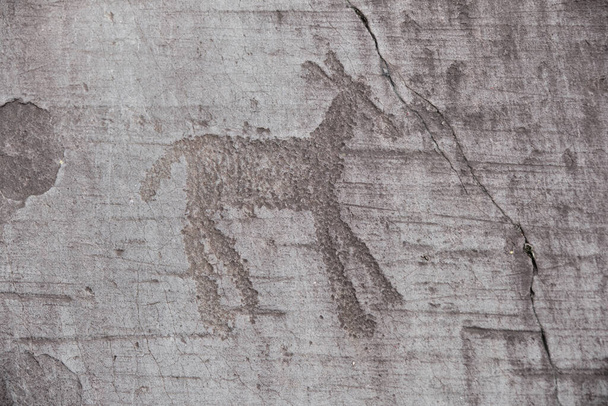 Camonica Valley Rock Drawings, Italia, UNESCO Complejo de dibujos rupestres en Europa - Foto, imagen