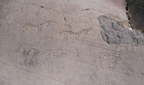 Camonica Valley Rock Drawings, Italië, UNESCO Complex van rotstekeningen in Europa - Foto, afbeelding