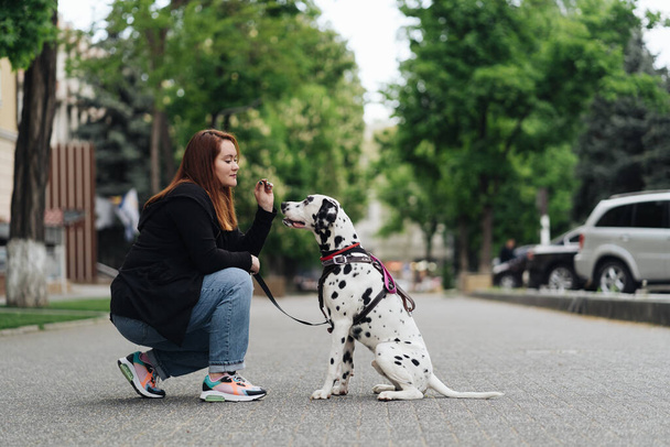 Woman discussing and training her dalmatian pet in the city - Foto, afbeelding
