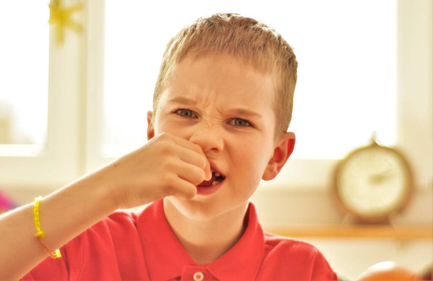 赤いシャツの少年がベリーを食べる - 写真・画像