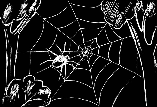 Pavouk na pavučině roztažené mezi stromy - Fotografie, Obrázek