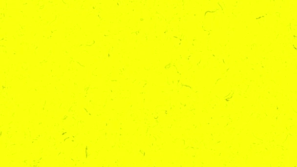 Plovoucí miniaturní zrnka na jasně žlutém pozadí, bezešvé smyčky. Animace. Náhodně se pohybující částice, jako by je foukal vítr, zastaví pohybový efekt. - Záběry, video