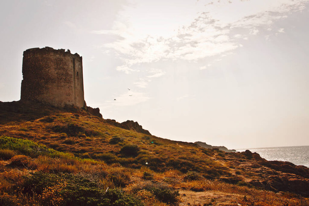 view of the Aragonese tower in the north of Sardinia - Photo, Image