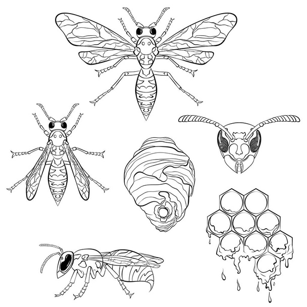 Set of wasps - Vector, Image