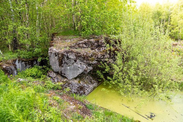 Arruina de búnker y estanque verde en el páramo Todtenbruch en la región de Raffelsbrand en la región de Eifel, Alemania - Foto, Imagen