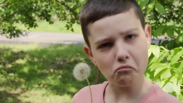 Boy with a dandelion in nature. 4K - Footage, Video