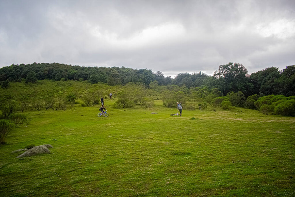 большое зеленое поле, окруженное деревьями, с облачным небом - Фото, изображение