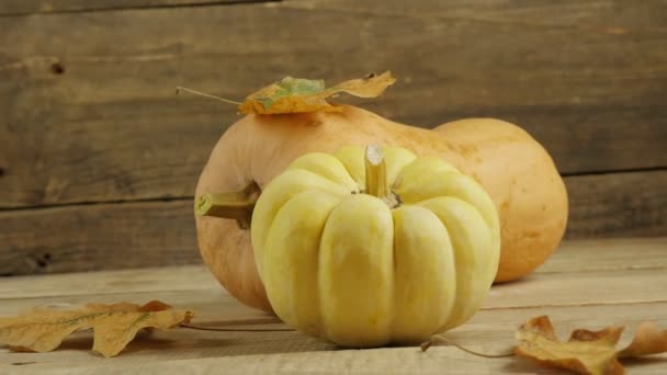 Thanksgiving Day. Pumpkin. Happy Thanksgiving background wooden table decorated with pumpkin, autumn leaves. Autumn, harvest. 4K - Footage, Video