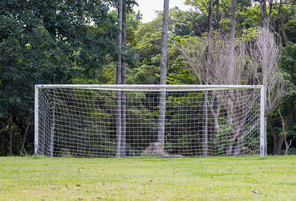na frente de um gol de futebol branco na floresta - Foto, Imagem