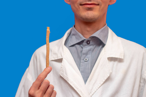 A young man holds a miswak (siwak) in a white coat. arak tree, Salvadora persica, sunnah. Blue background - Zdjęcie, obraz