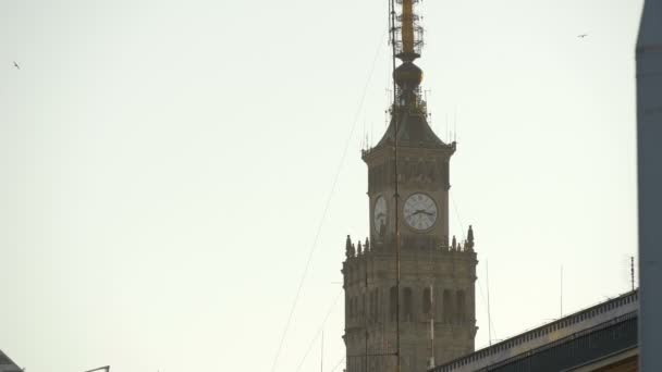Torre del Palacio de la Cultura y la Ciencia - Metraje, vídeo