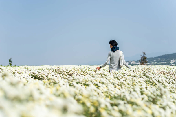 modern ázsiai nő áll a fehér krizantém farm - Fotó, kép