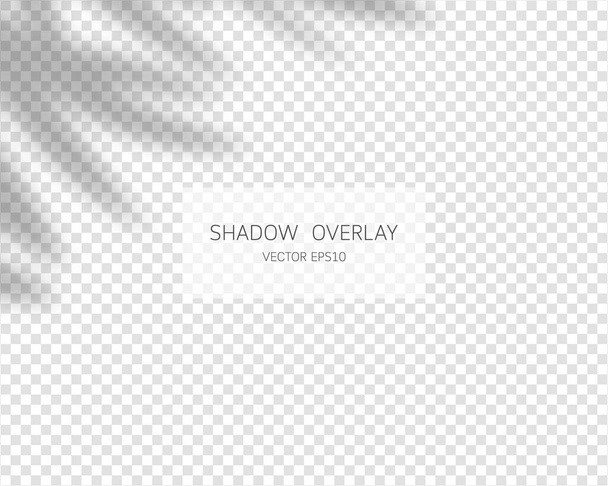 Efecto de superposición de sombras. Sombras naturales aisladas sobre fondo transparente. Ilustración vectorial.  - Vector, Imagen