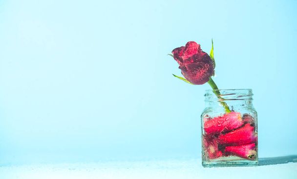 close up de flor de rosa vermelha no frasco, espaço de cópia - Foto, Imagem
