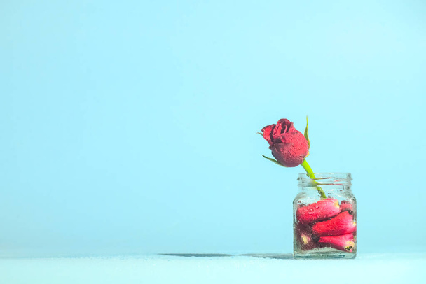 zblízka červené růže květiny ve sklenici, kopírovací prostor - Fotografie, Obrázek