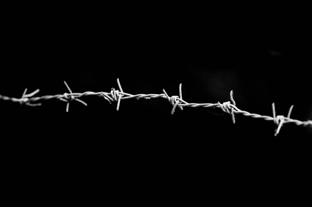 close up shot of barbed wire  - Photo, Image