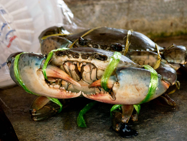 Морепродукты крабы связаны для продажи на рынке морепродуктов Таиланда. - Фото, изображение
