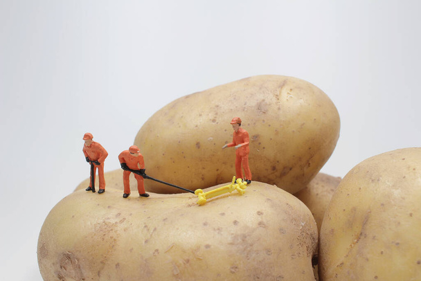 Мини-работник работает над картофелем  - Фото, изображение