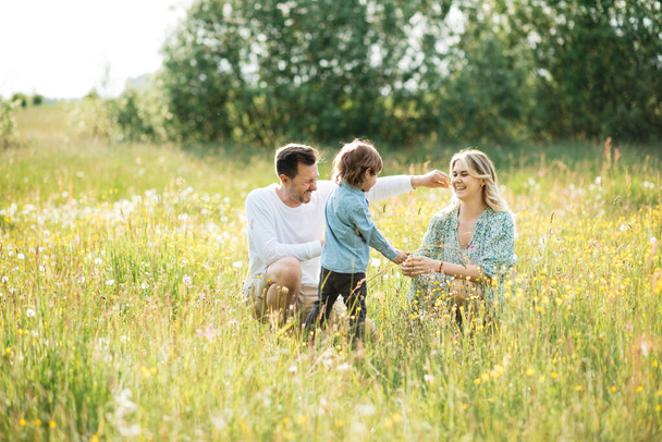 草原の花々の間を歩く幸せな家族の写真 - 写真・画像