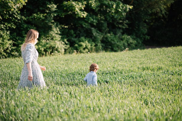 Mladá matka kráčí v poli mezi zelenou trávou se svým synem 3 roky - Fotografie, Obrázek