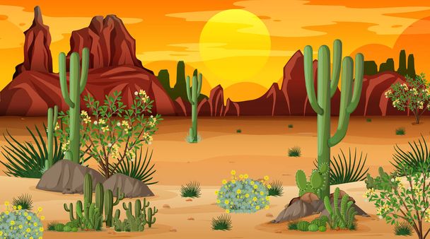 Пейзаж пустынных лесов на закате со многими иллюстрациями кактусов - Вектор,изображение