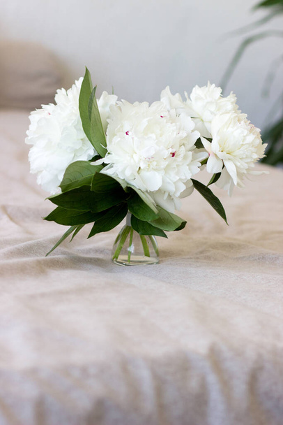 Beautiful bouquet of white peonies, Flowers in vase on light background - Фото, изображение