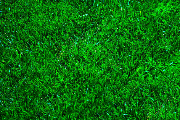 Herbe verte texture arrière-plan, Vue du dessus du jardin d'herbe Concept idéal utilisé pour la fabrication de planchers verts, pelouse pour terrain de football d'entraînement, terrains de golf gazon vert motif de pelouse fond texturé. - Photo, image