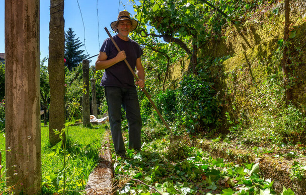 середнього віку управляє збиранням листя в саду
 - Фото, зображення