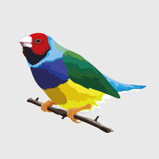 A songbird sits on a branch - Vector, Image