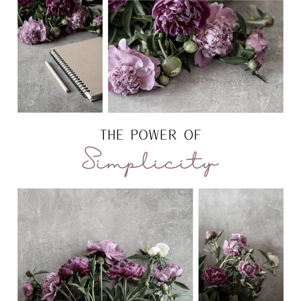 Bouquet de pivoine rose. Carrousel simple lumière Moodboard Instagram Post. - Photo, image