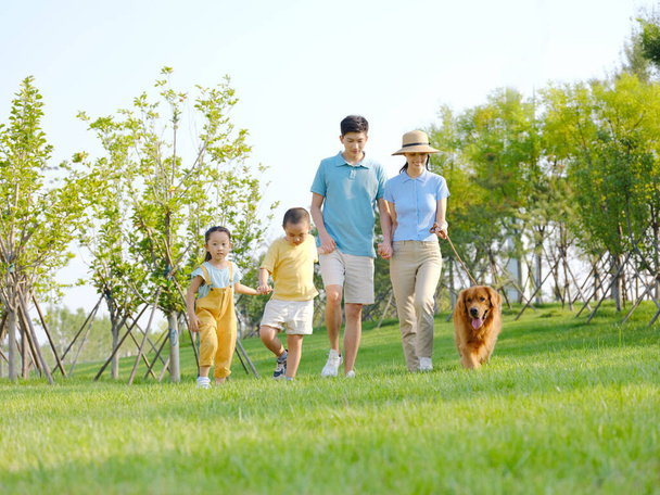 Happy family of four walking dogs in the park - Foto, immagini
